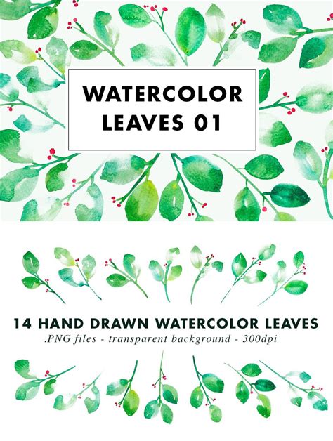 Watercolor Leaves Clip Art | Graphic Objects ~ Creative Market