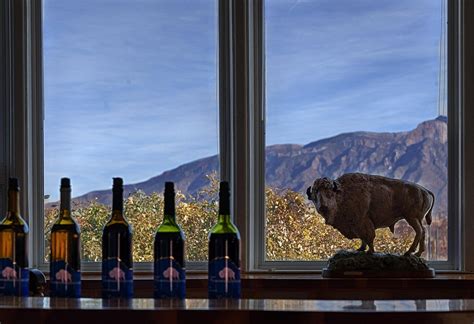 The 10 Best New Mexico Wineries And Vineyards To Visit 2025