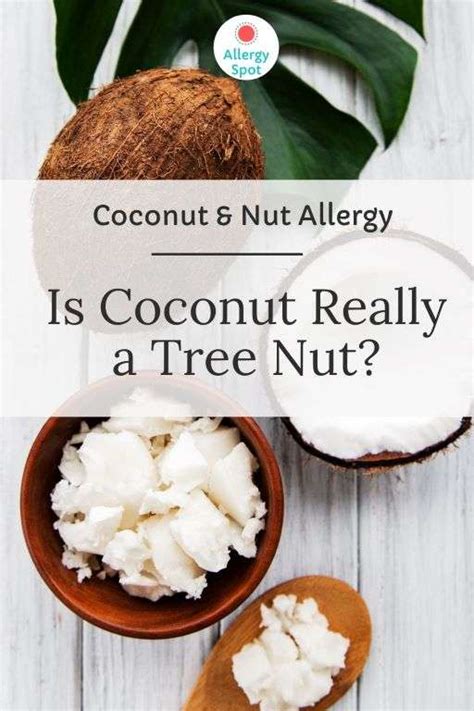 Coconut Allergy Confusion: Is Coconut Really a Tree Nut? » Allergy Spot