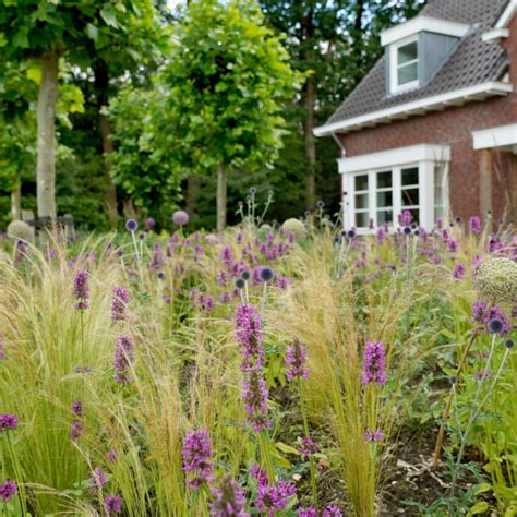 Landelijke Tuin Janse En Berkhof Tuinen