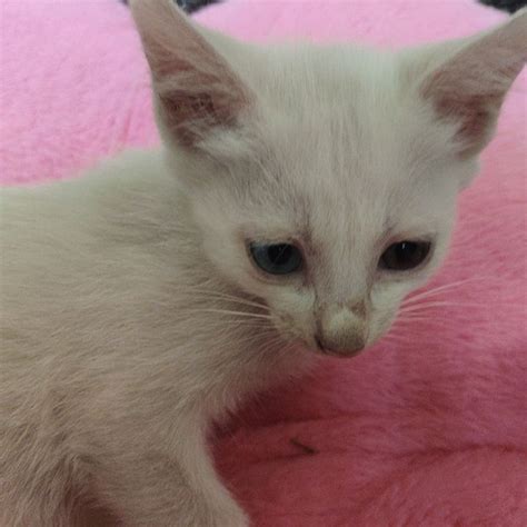 Ghim của babe trên Ghim của bạn