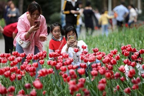 湖南郴州：踏青赏花 人民图片网