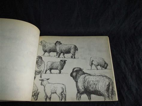 Livro Henry Moores Sheep Sketchbook Parque Das Nações • Olx Portugal