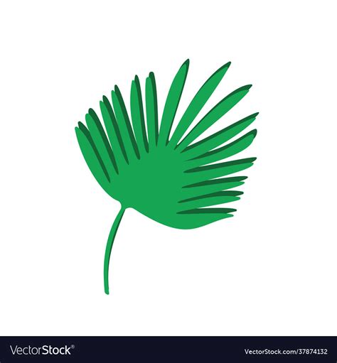 Tropical palm leaf isolated on white Royalty Free Vector