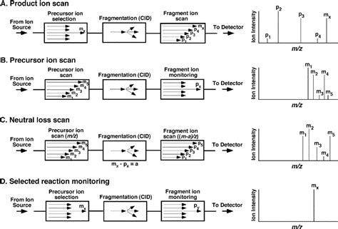 Figure 2 From Multi Dimensional Mass Spectrometry Based Shotgun