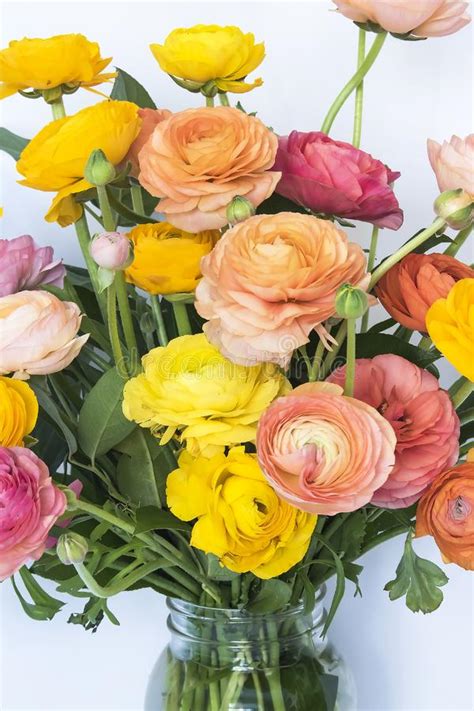 Peach Ranunculus Bouquet