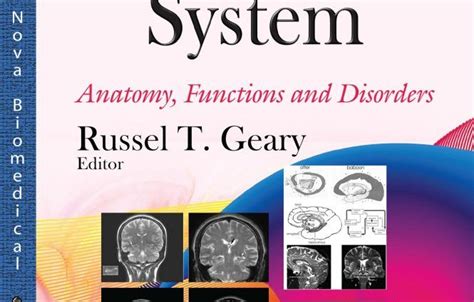 The Limbic System – Anatomy and Functions. Limbic system disorders ...