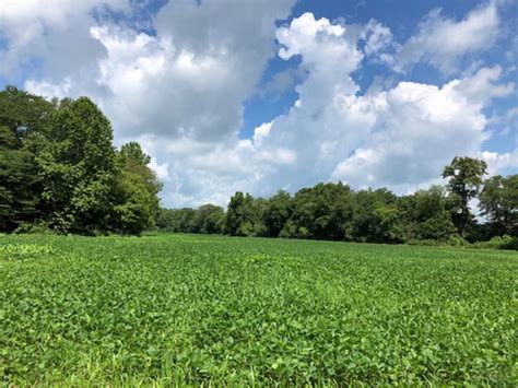 For Sale Acres Jefferson County Il Hunting Cropland Tillable