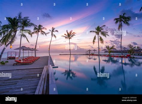 Beautiful Poolside And Sunset Sky Luxurious Tropical Beach Landscape