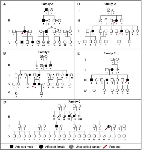 Clinical And Molecular Investigation Of Familial Multiple Lipomatosis