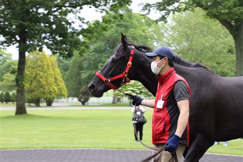 ユーバーレーベンお疲れ様でした 北海道暮らしと競馬のこと。友人たち。