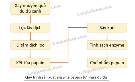 Gi I B I Quy Tr Nh C Ng Ngh S N Xu T Enzyme Chuy N H C T P