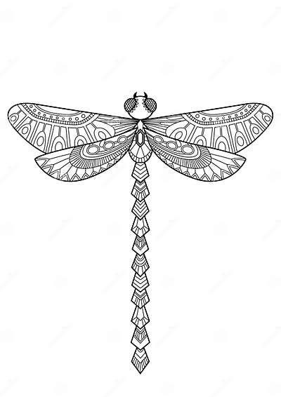 Dragonfly Doodle Coloring Book Page Black And White Vector Zentangle