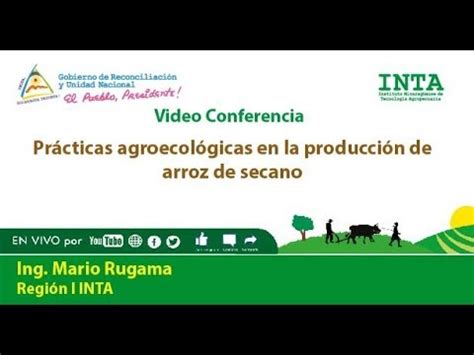 INTA Practicas Agroecologicas En La Produccion De Arroz De Secano