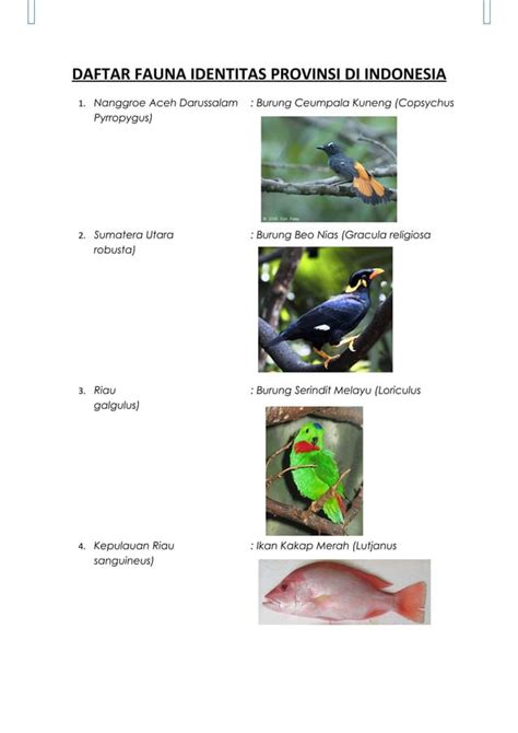 Flora Dan Fauna Maskot Di Indonesia Pdf