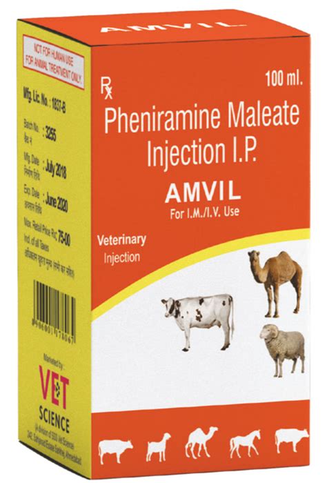 AMVIL INJECTION Pheniramine Maleate 22 75 Mg Ml 100ml For Clinic