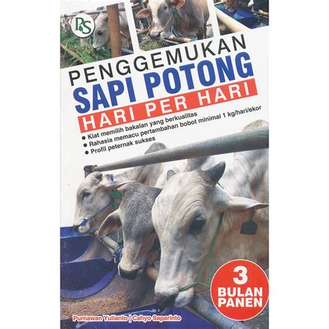 Jual Penggemukan Sapi Potong Hari Per Hari 3 Bulan Panen Shopee