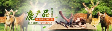 鹿茸片怎么吃？鹿茸的6大吃法要知道 知乎