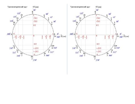 Cerc Trigonometric | PDF