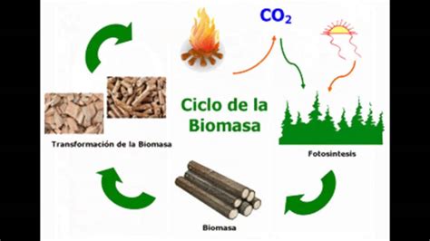 Desarrollo Sustentable Recursos Naturales YouTube