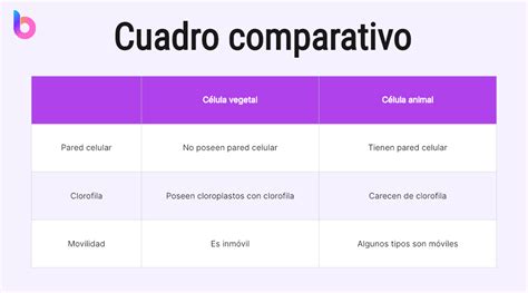 Qué es un cuadro comparativo 6 tipos y guía de creación Boardmix