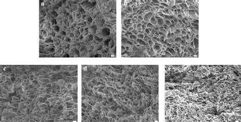 Figure 3 From A Porous Hydrogel With High Mechanical Strength And