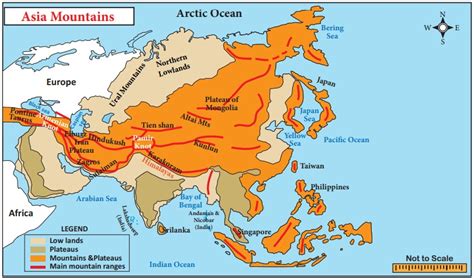 Asia - Term 3 Unit 1 | Geography | 6th Social Science