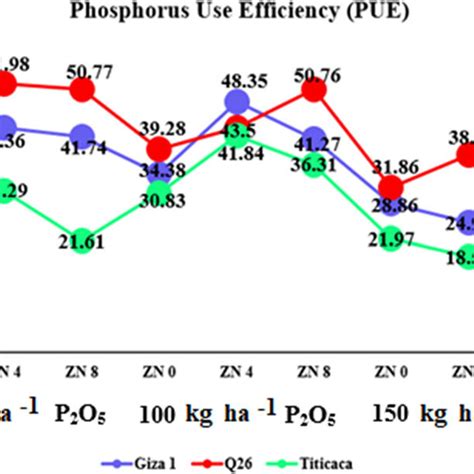 Changes In Phosphorus Use Efficiency PUE Affected By Experimental