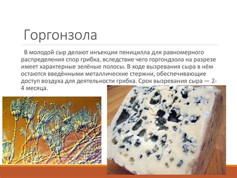 Голубые сыры - презентация онлайн