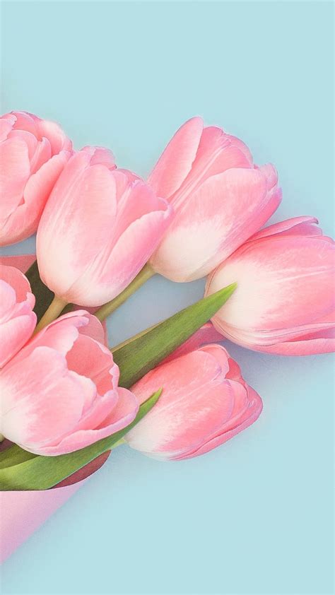 iPhone Tulips Wallpapers - Wallpaper Cave