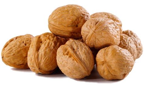 Walnut Kashmiri At Best Price In Srinagar Id Habitat Green