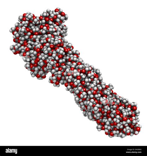 Polylactic Acid Pla Polylactide Bioplastic Chemical Structure