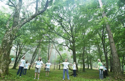 박정희 韓 산림녹화 큰 역할국민 1인당 249만원 꼴 혜택 중앙일보