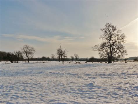 Martin Brookes Oakham Rutland: Snow in the British Countryside Egleton ...