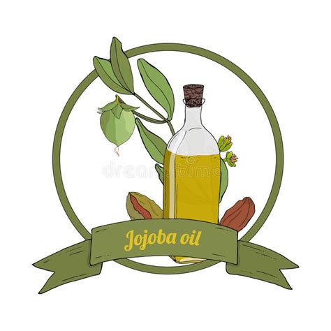 100 Herbal Badge Label Isolated Stock Illustration Illustration Of