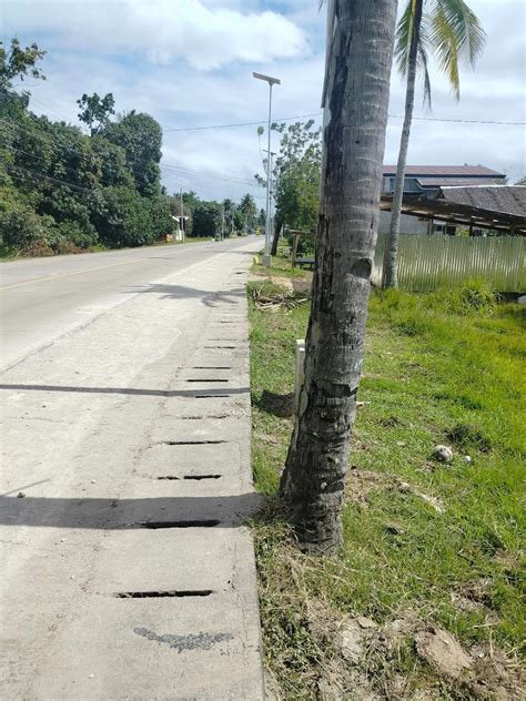 Commercial Lot For Sale 3 260 Sqm Clean Title Dauis Bohol Philippines