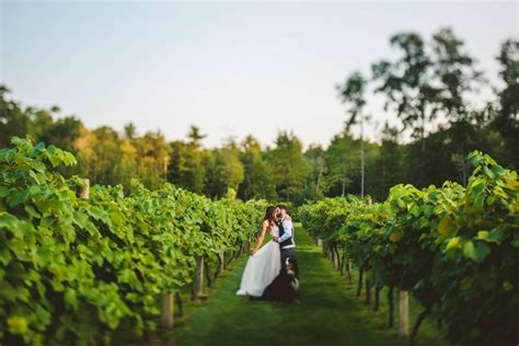 20 Scenic Winery Wedding Venues Across the Country