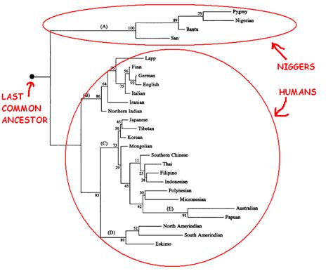 Are there biologically different human races alive today? : r/askscience