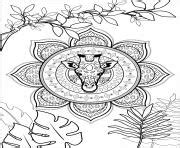 Coloriage Girafe Imprimer Dessin Girafe Colorier