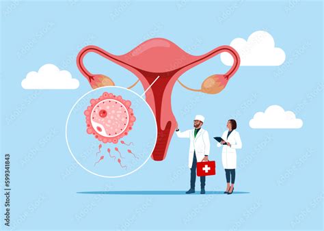 The Physician Specialist Holds A Big Sign Female Reproductive System