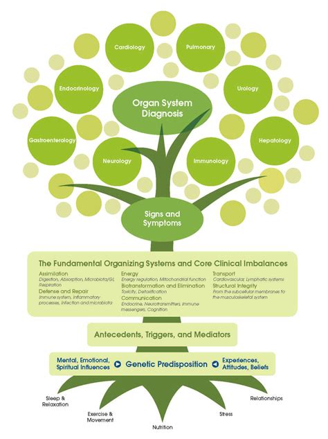 Functional Medicine Wellness Life Center Cairo Ga