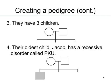 Ppt Genetic Pedigrees Powerpoint Presentation Free Download Id6747210