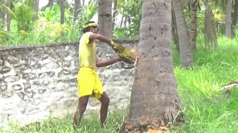 The Best Technical Work For Cutting Coconut Tree In Cutting Machine Youtube