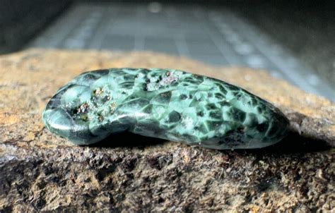 730 Ct Lake Superior Greenstone Chlorastroliteup Michigan Gem Isle