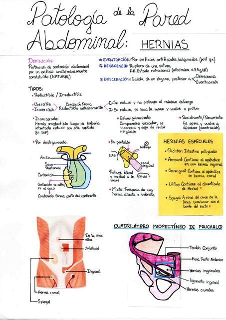 Hernias Fiorella Saldaña Alvarado uDocz