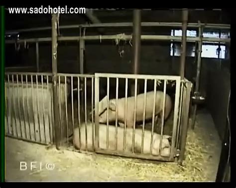 Deutsche Bdsm Sklavinnen Versuchen Amateur Bestrafung Xhamster