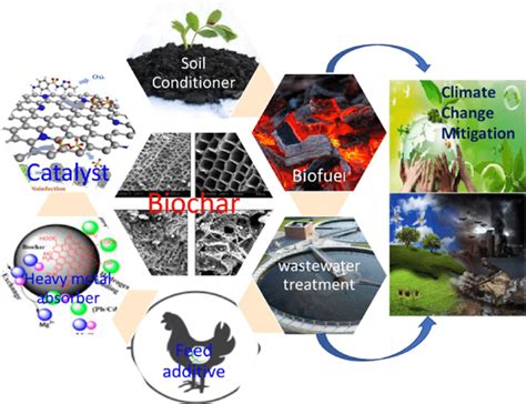 Applications Of Biochar In Agriculture Download Scientific Diagram