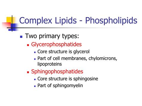 PPT - Lipid Structure and Function PowerPoint Presentation, free ...