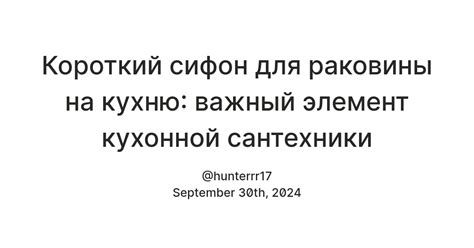 Короткий сифон для раковины на кухню: важный элемент кухонной ...