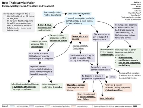 Beta Thalassemia Major Signs Symptoms And Treatment Calgary Guide